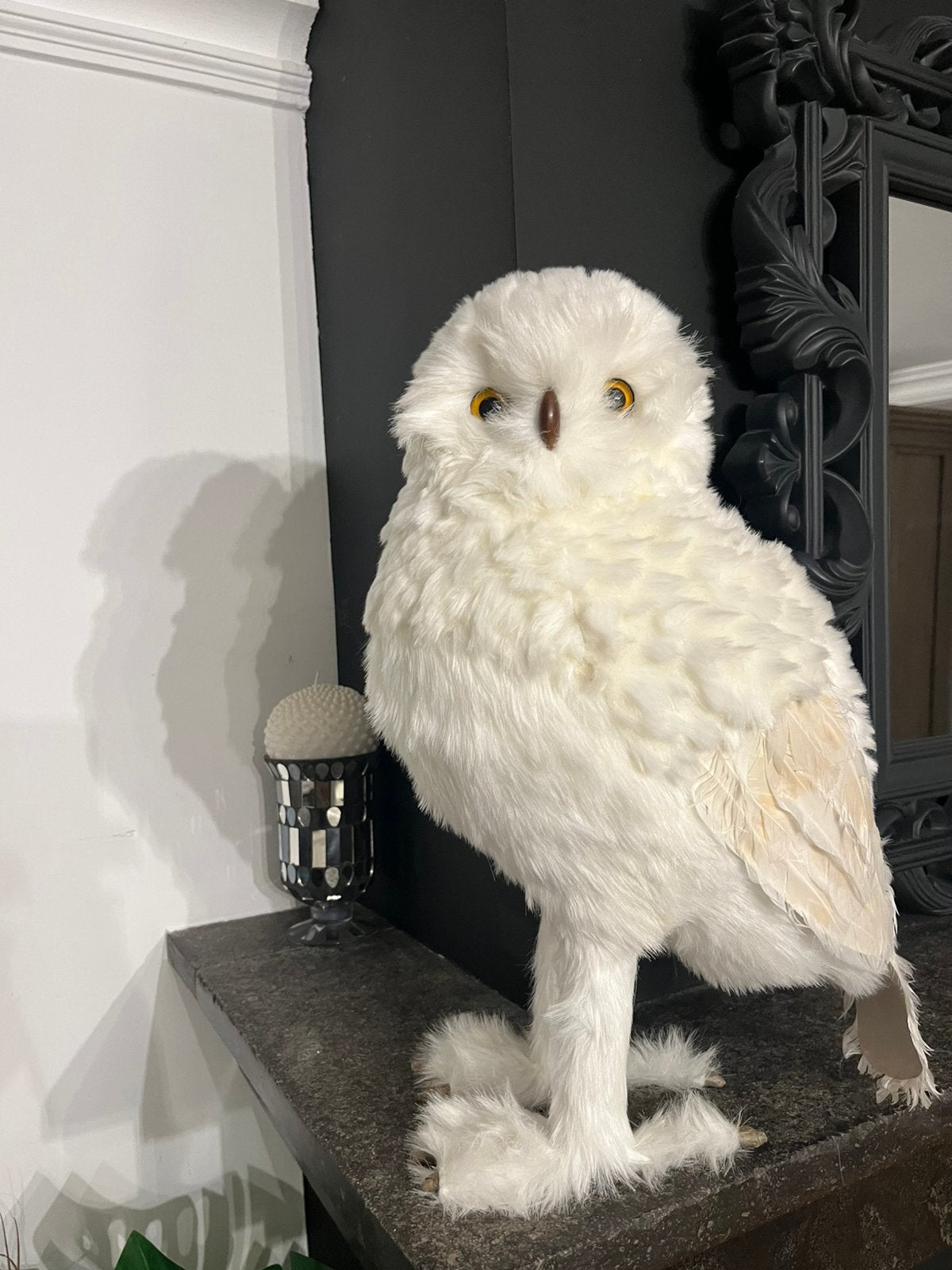 Hibou à plumes de 48 cm de haut, blanc, Enlèvement, Blanc