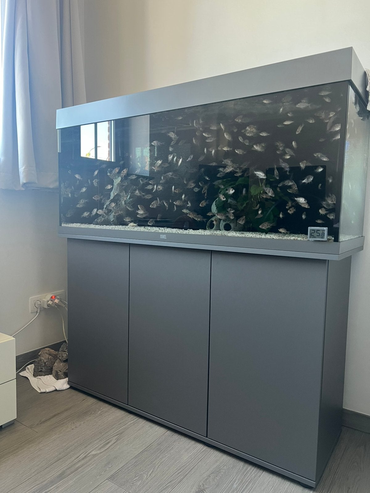 Juwel rio 240, Dieren en Toebehoren, Ophalen, Zo goed als nieuw, Filter, JBL