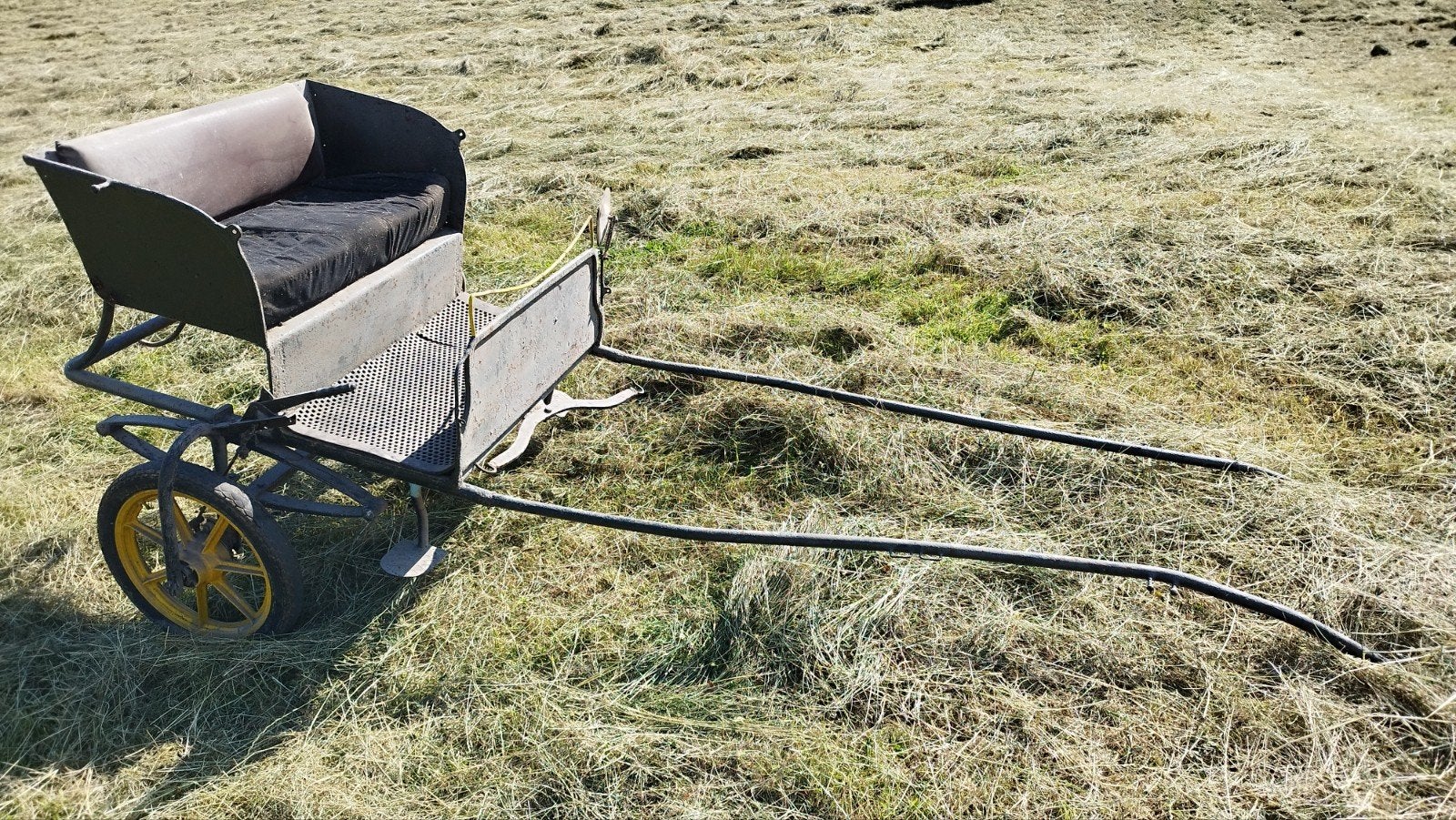Charette chevaux, Utilisé, Cheval