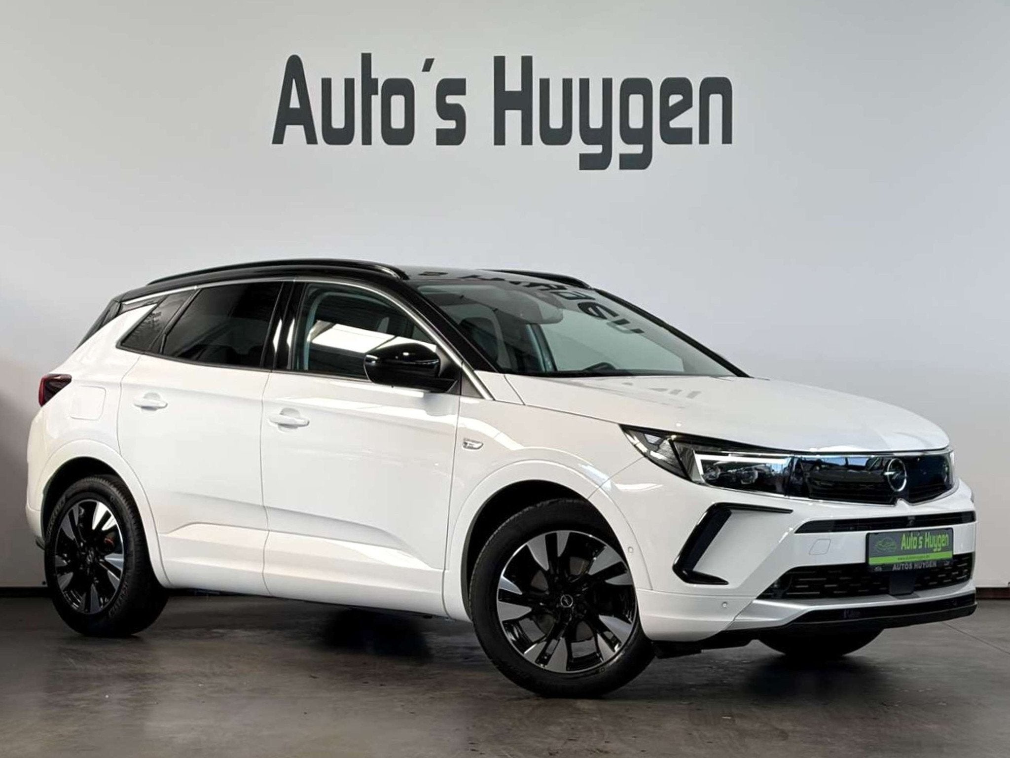 Opel Grandland 1.2 Turbo GS / Apple Carplay / 360 Camera, Grandland, Commande vocale, Achat, 139 g/km