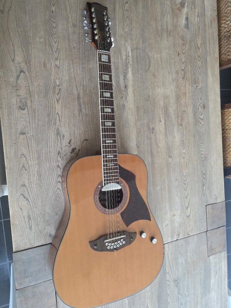 EKO RANGER ELECTRA XII gitaar, Muziek en Instrumenten, Ophalen of Verzenden, Gebruikt, Western- of Steelstringgitaar, 12-snarig