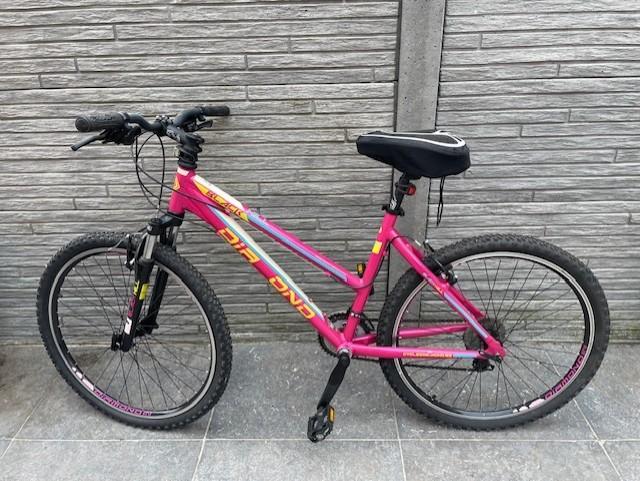 Dames Mountainbike  ITEK, Fietsen en Brommers, Fietsen | Mountainbikes en ATB, Zo goed als nieuw, Dames, Ophalen, Overige merken