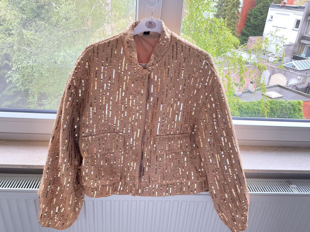 Prachtige jas goud pailleten maat tu te dragen tot maat 44, Kleding | Dames, Ophalen of Verzenden, Zo goed als nieuw