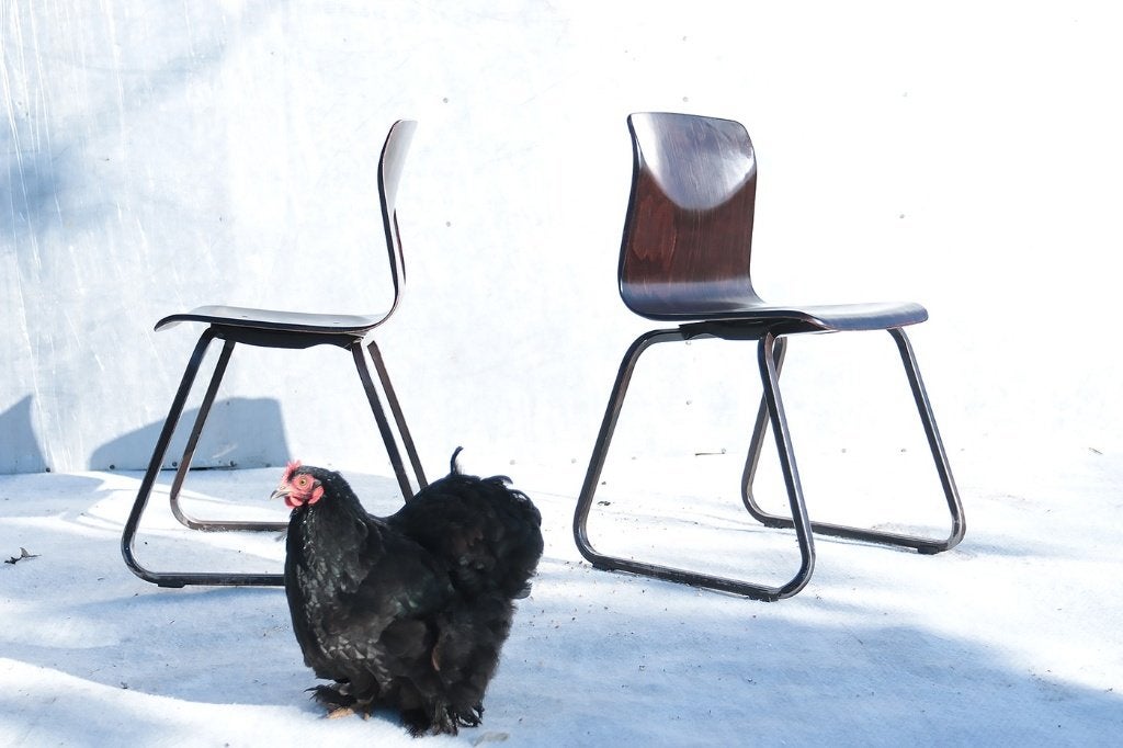Elmar Flötotto Galvanitas S23 schoolstoelen kindermaat, Ophalen