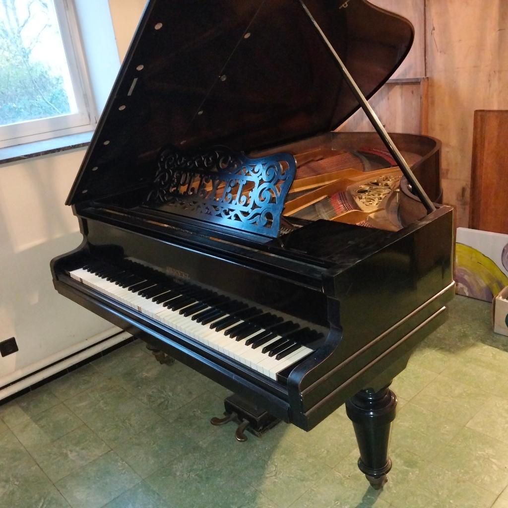 Piano à queue Pleyel de 1910, Brillant, Enlèvement, Utilisé, À queue