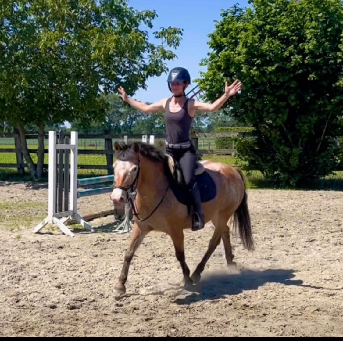13j c- pony en 3j e-pony, Dieren en Toebehoren, Merrie, Zadelmak