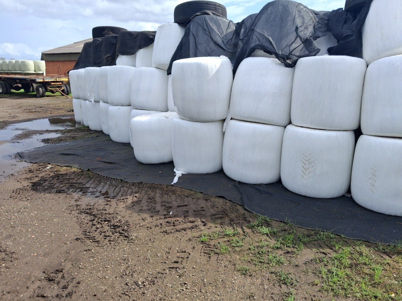 ronde balen mais 350 a 400 kg oogst 2026, Ophalen