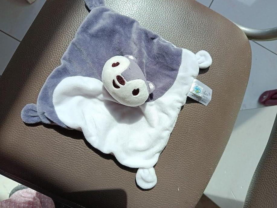knuffeldoekje eekhoorn dreambee (doos mei 2026), Kinderen en Baby's, Ophalen of Verzenden, Nieuw, Knuffeldoekje