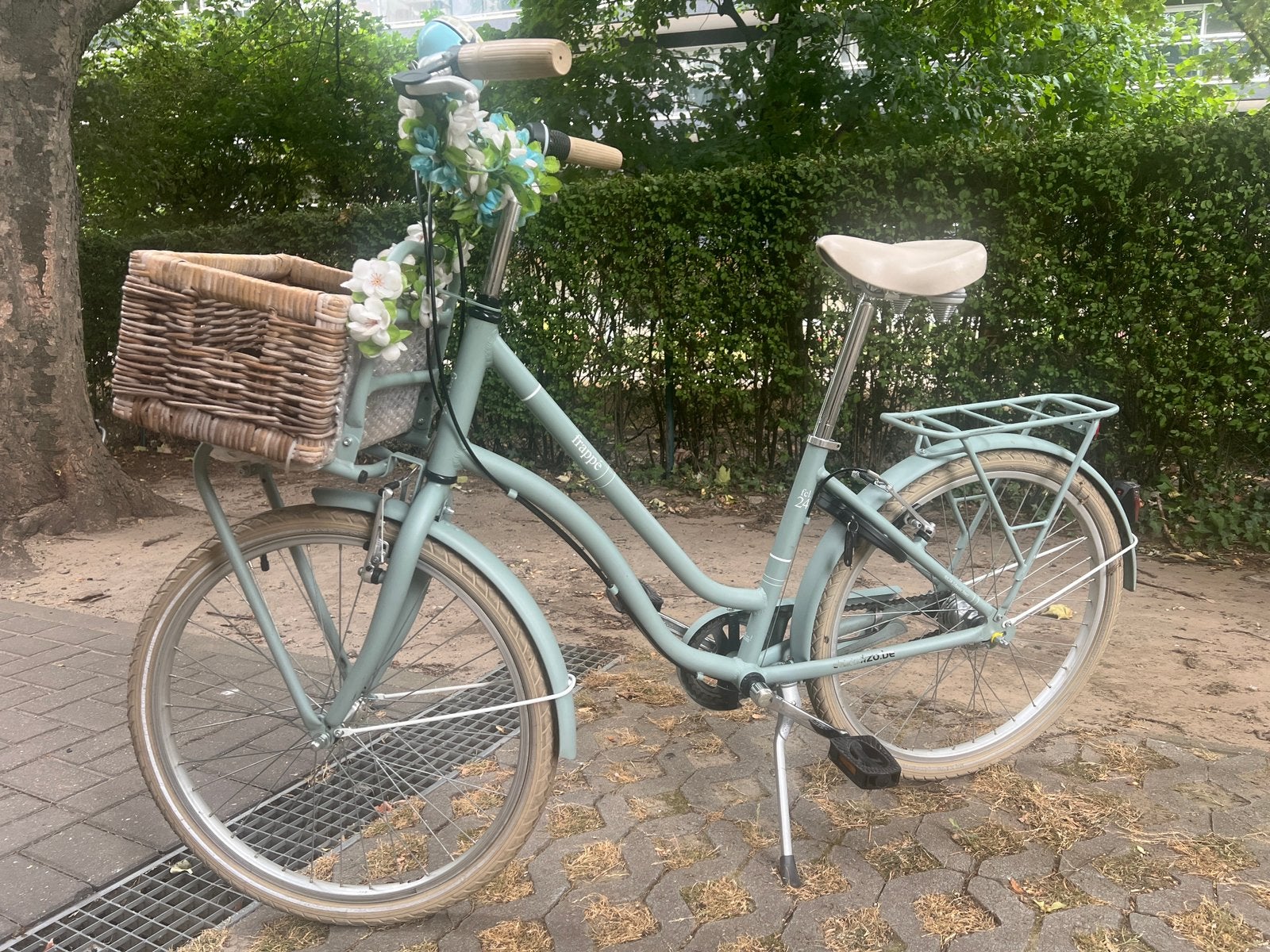 Frappé 24”, Ophalen, 24 inch, Velgrem, Versnellingen