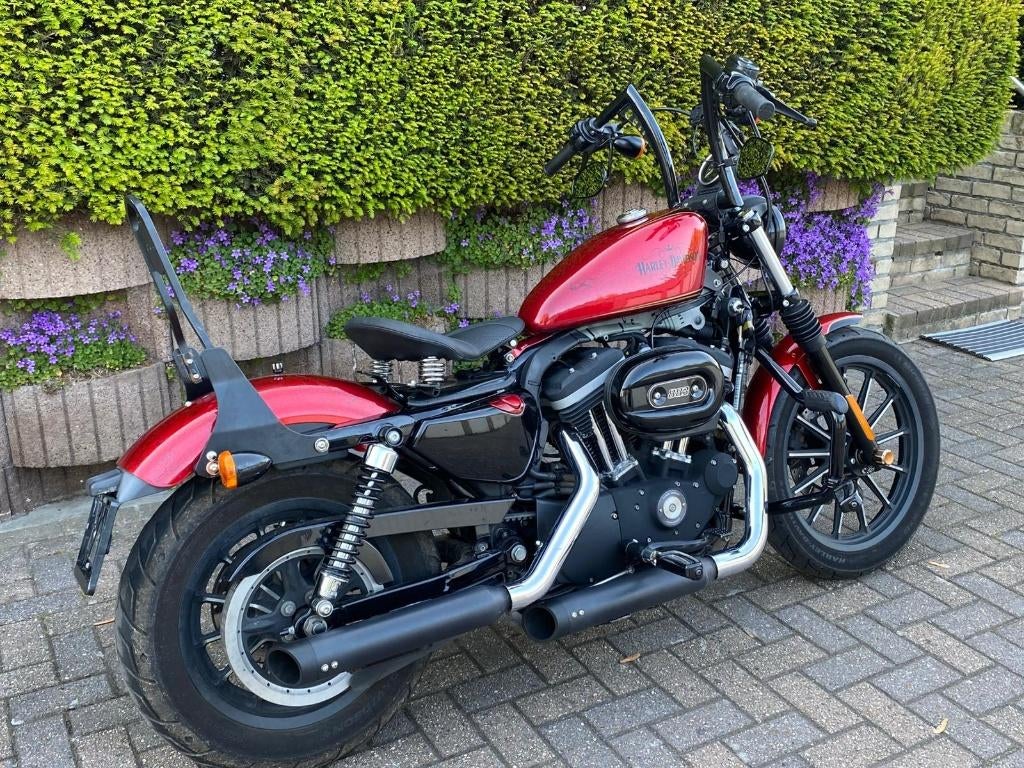 Harley Davidson Sportster XL 883, Motoren, 2 cilinders, Chopper, Gebruikt, 883 cc