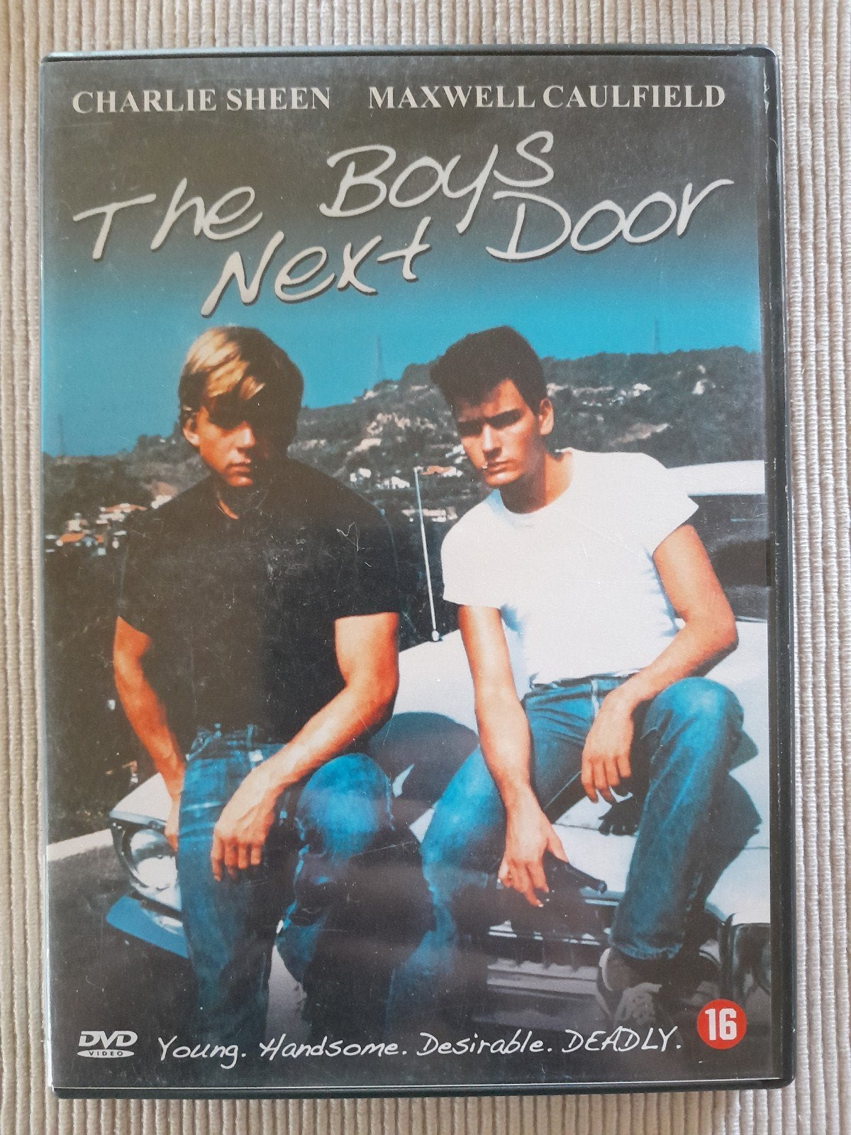 The boys next door, 1980 à nos jours, Comme neuf, À partir de 16 ans, Action et Aventure