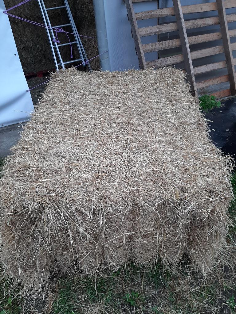 stro en hooi !!, Dieren en Toebehoren, Ophalen