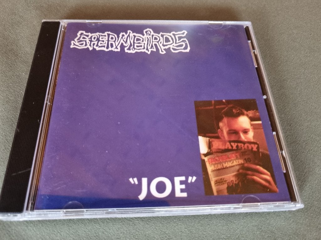 Spermbirds – Joe (CD Punk Hardcore 1992), CD & DVD, Enlèvement ou Envoi, Punk rock, Album