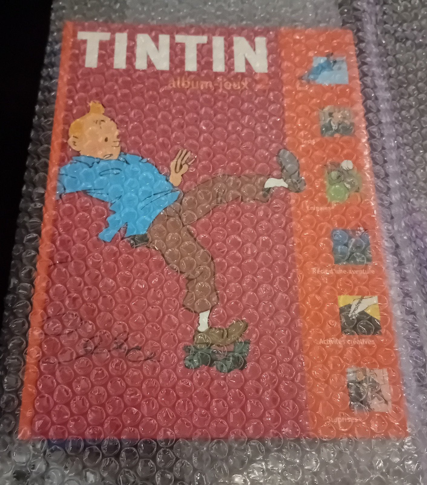 Tintin album-jeux n 2 (2006), Collections, Enlèvement ou Envoi, Tintin, Neuf, Livre ou Jeu