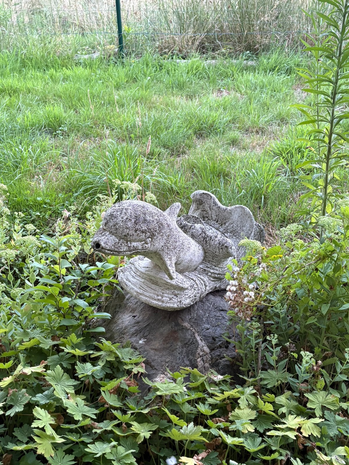 Grote betonnen dolfijn – tuinbeeld / fontein – 80 cm, Tuin en Terras, Ophalen, Gebruikt