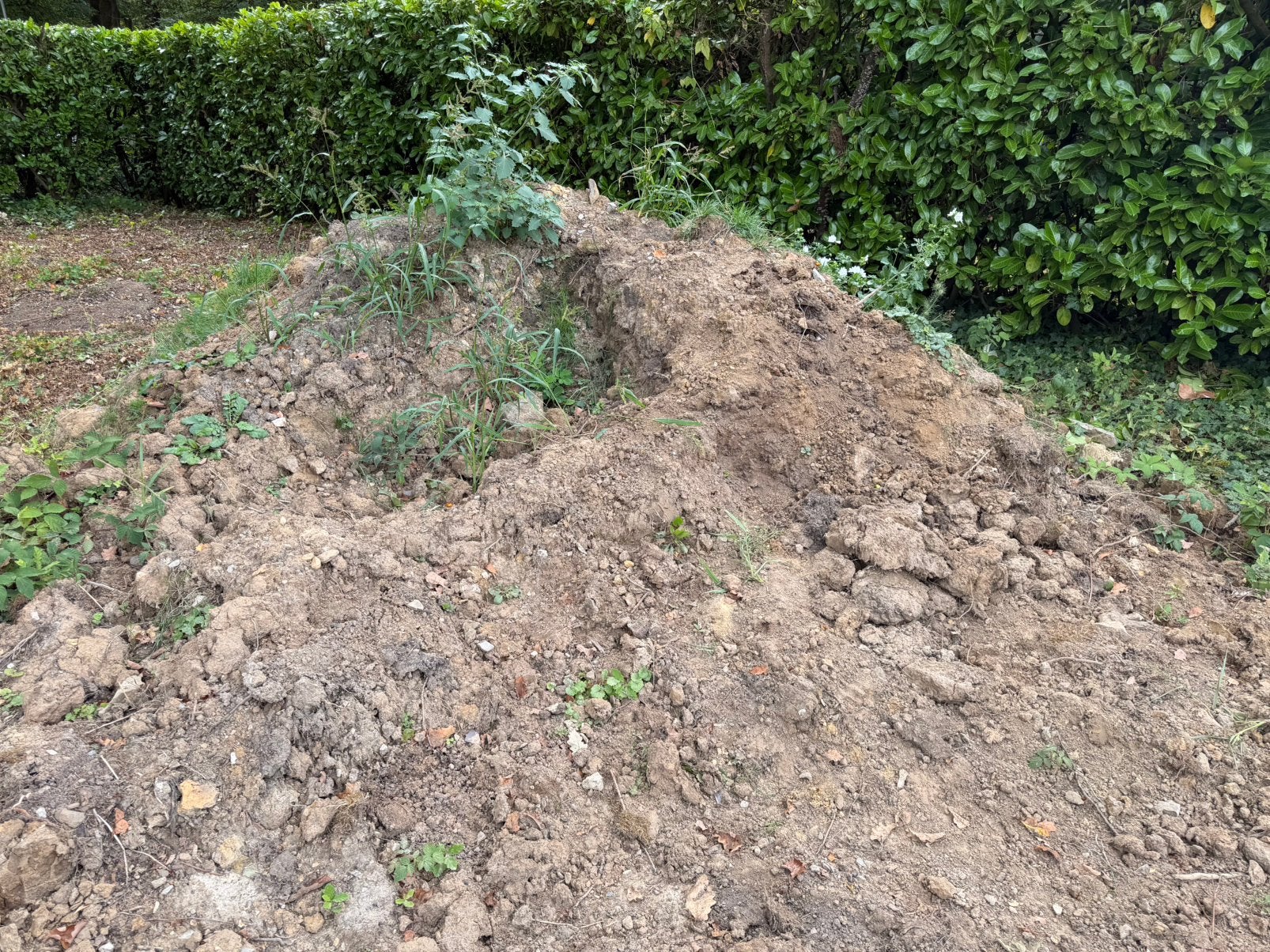 Terre de jardin, Jardin & Terrasse, Terre & Fumier, Enlèvement, Terre pour jardin