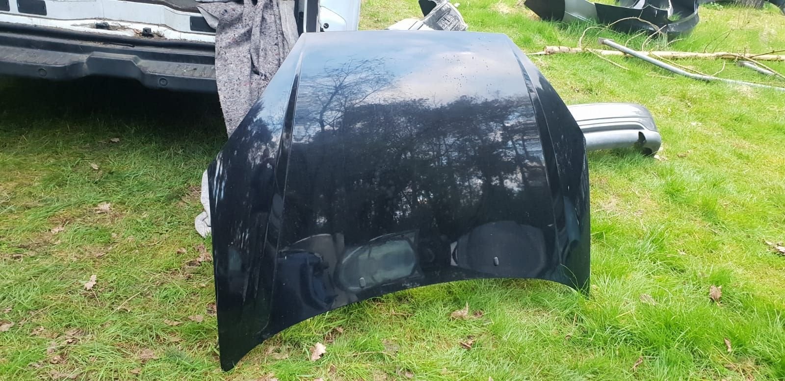 FORD FOCUS MOTORKAP BJ 98 TOT 2004, -, Utilisé, -, Capot moteur
