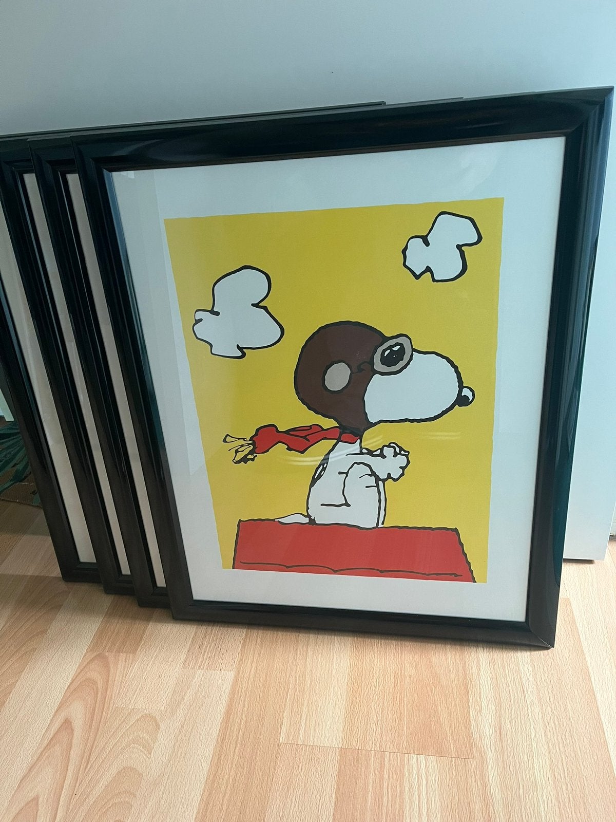 Kaders Snoopy, Verzamelen, Ophalen, Snoopy