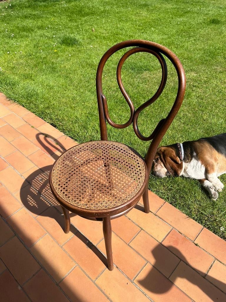 Thonet 20 - Omega, Ophalen