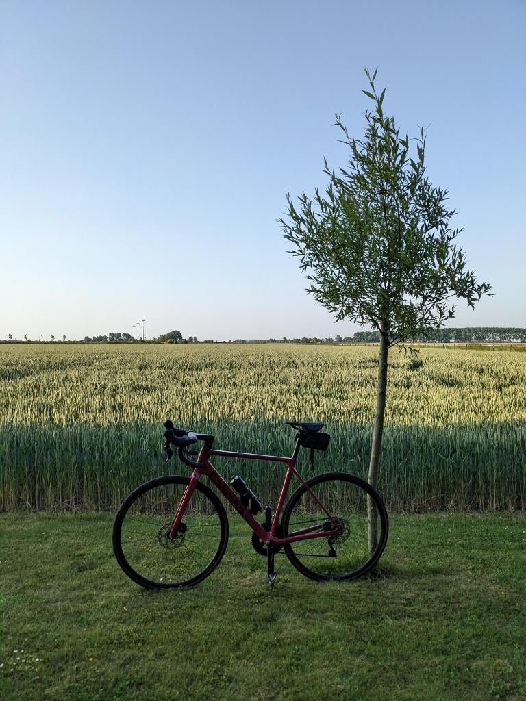 Canyon - Ultimate CF SL 7 Disc, Autres marques, 10 à 15 vitesses, 49 à 53 cm, Comme neuf