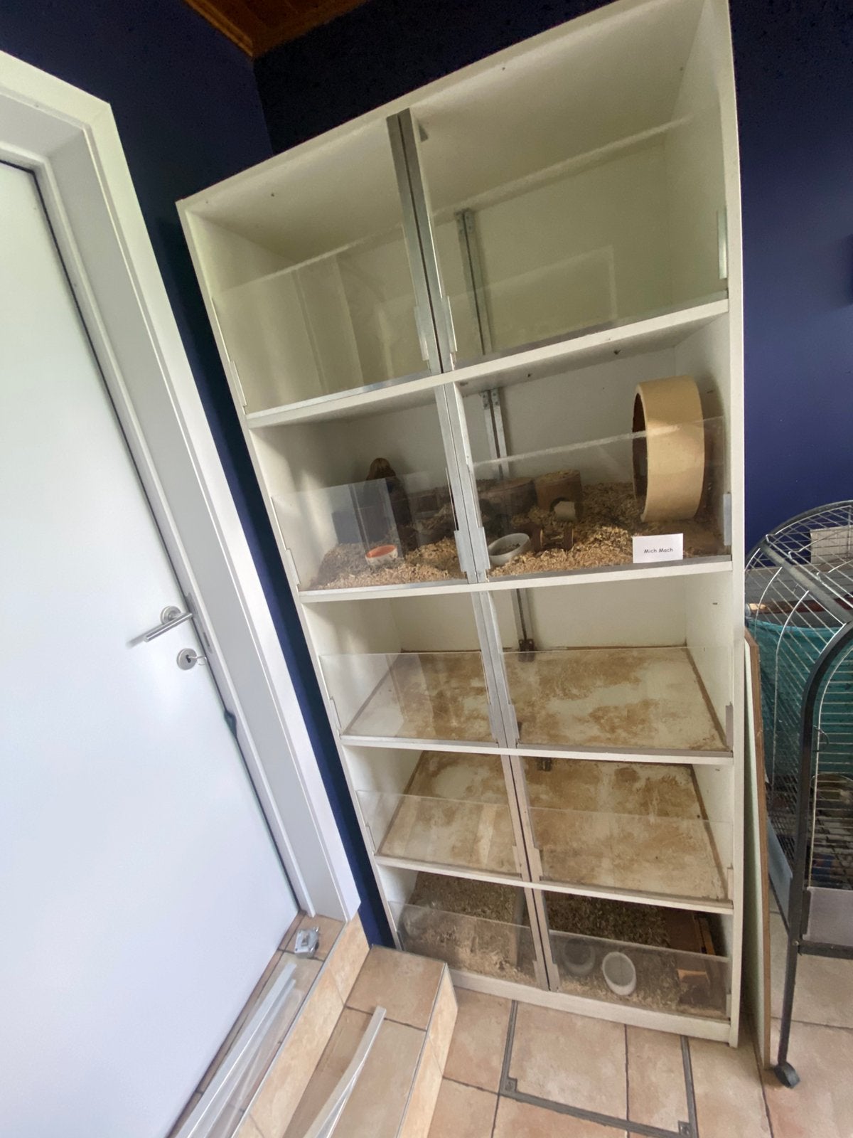 Stevige caviafat met plexi’s 5 aparte verdiepingen gratis, Dieren en Toebehoren, Ophalen, Zo goed als nieuw