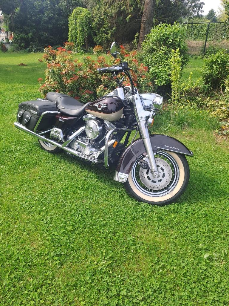 Harley-Davidson Road King Classic 95th Anniversary 1998, Motoren, Motoren | Harley-Davidson, Particulier, Chopper, meer dan 35 kW