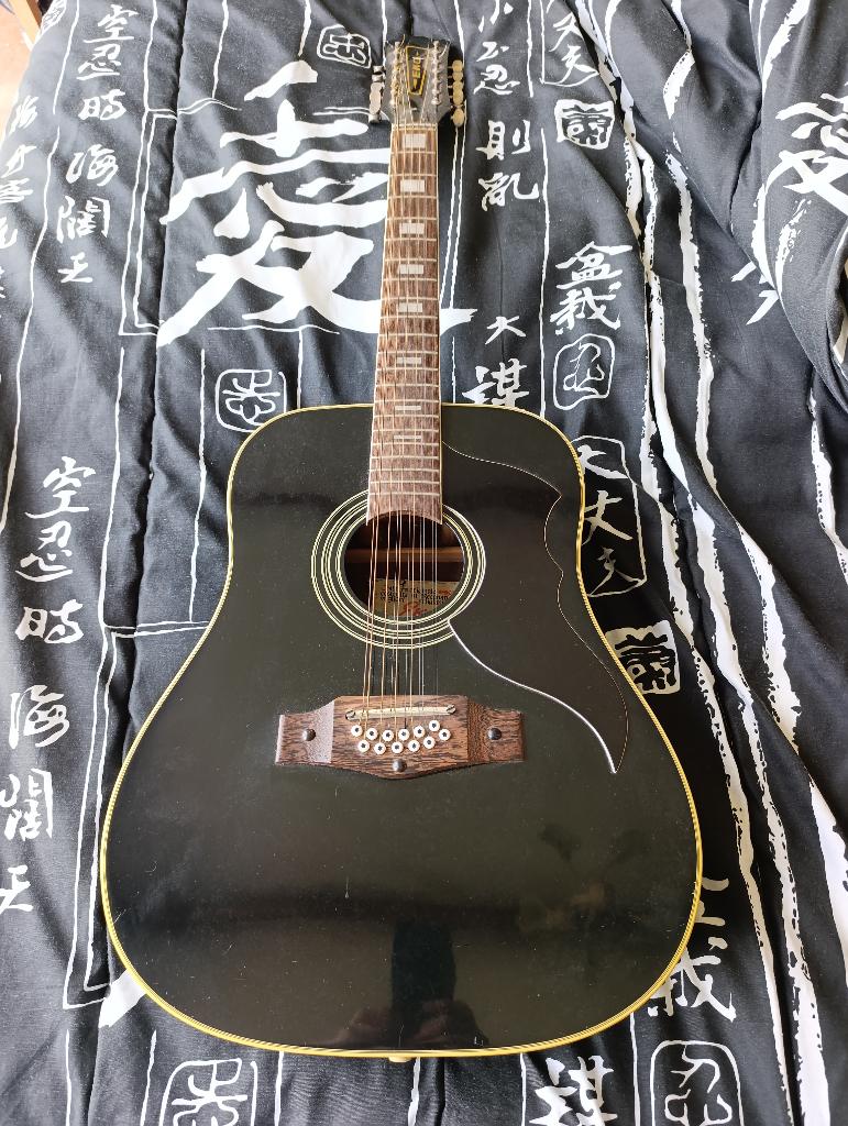 musique, Musique & Instruments, Enlèvement, Utilisé, Guitare Western ou Guitare Folk, 12 cordes