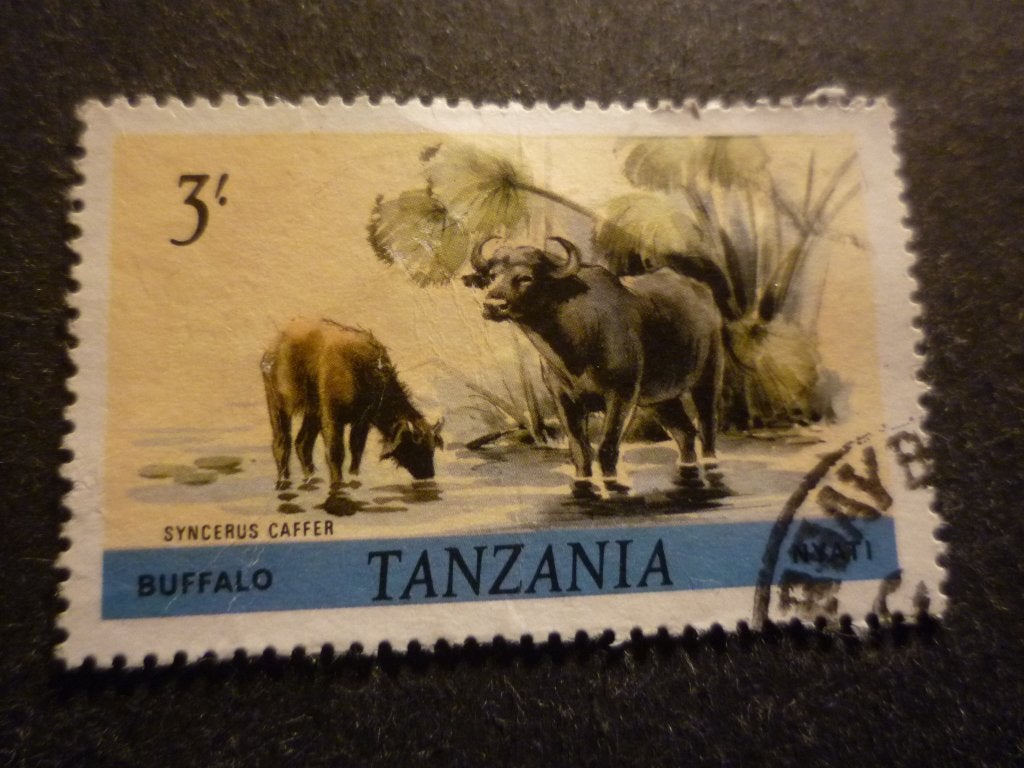 Tanzania/Tanzanie 1980 Mi 170A(o) Gestempeld/Oblitéré, Postzegels en Munten, Postzegels | Afrika, Verzenden, Tanzania