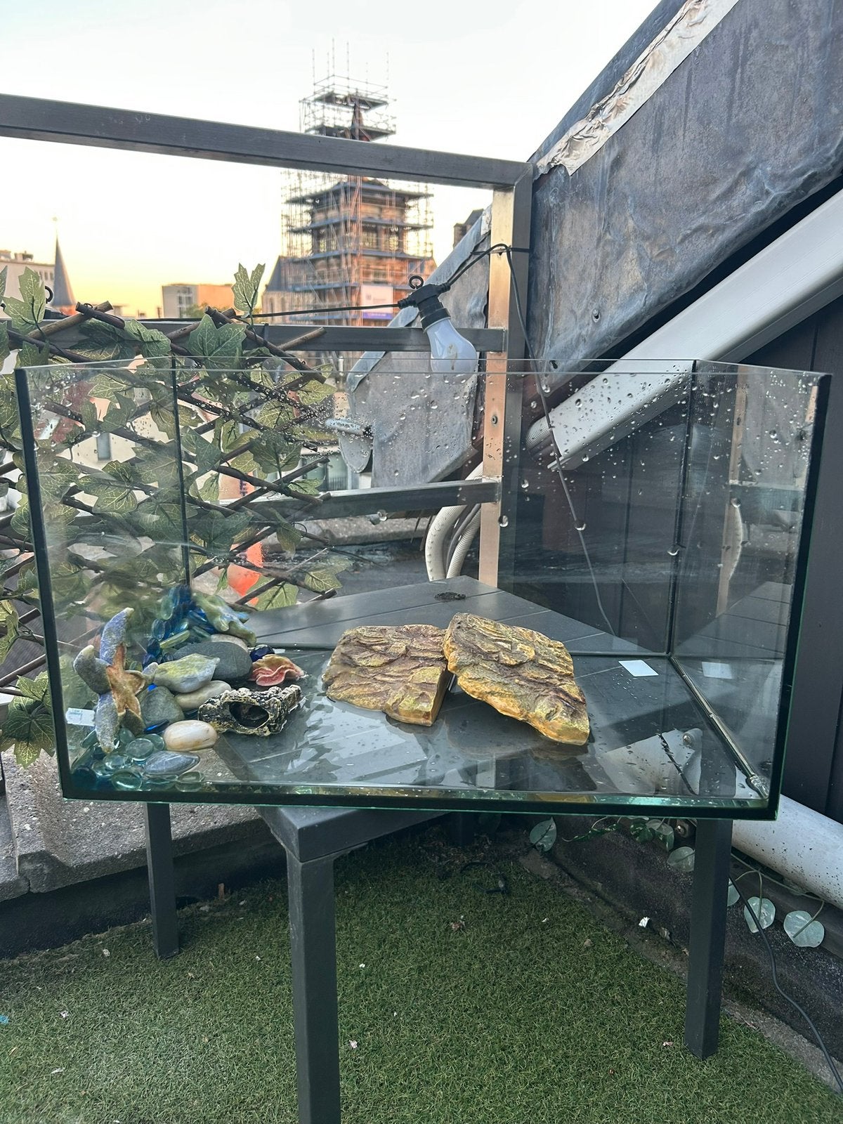 Aquarium pour poissons ou tortues, Animaux & Accessoires, Enlèvement, Comme neuf