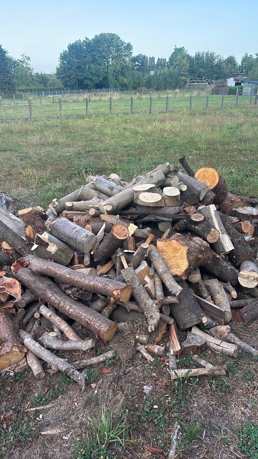 Brandhout gemengd, Tuin en Terras, Brandhout, 3 tot 6 m³, Ophalen, Overige houtsoorten, Stammen