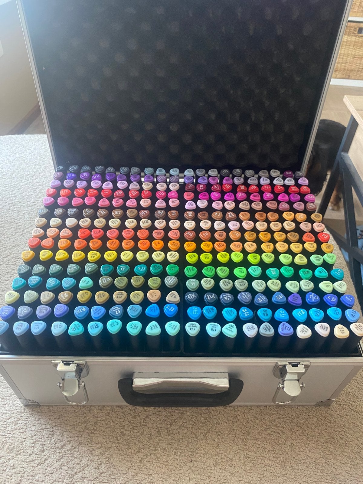 300 alcohol marker set, Hobby & Loisirs créatifs, Dessin, Enlèvement, Comme neuf