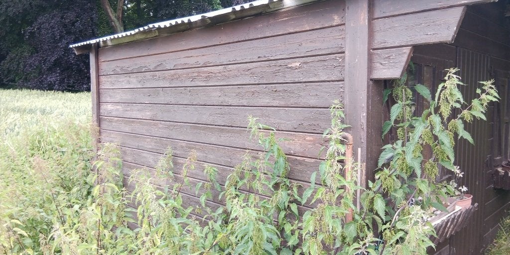Abri de jardin, 200 à 400 cm, 250 à 300 cm, 2 fenêtres, Enlèvement
