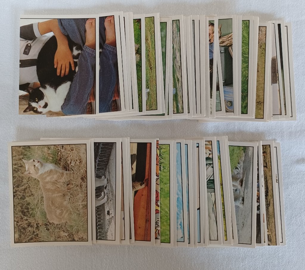 97 autocollants Panini WWF Animaux familiers (1988), Enlèvement ou Envoi, Comme neuf, Plusieurs autocollants