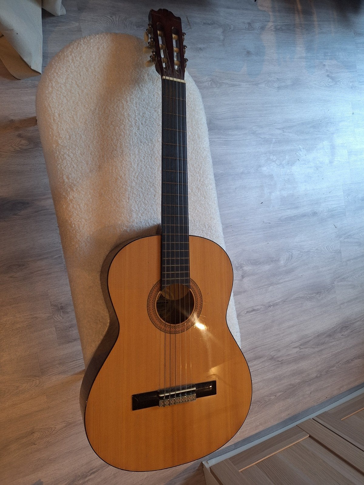 Guitare Santana C100, Musique & Instruments, Enlèvement
