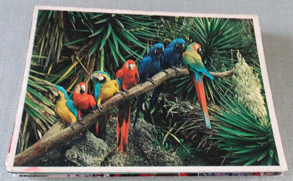 43 POSTKAARTEN VAN FLORIDA (waaronder15 van Disney), Verzamelen, Verzenden, Gelopen, Buiten Europa