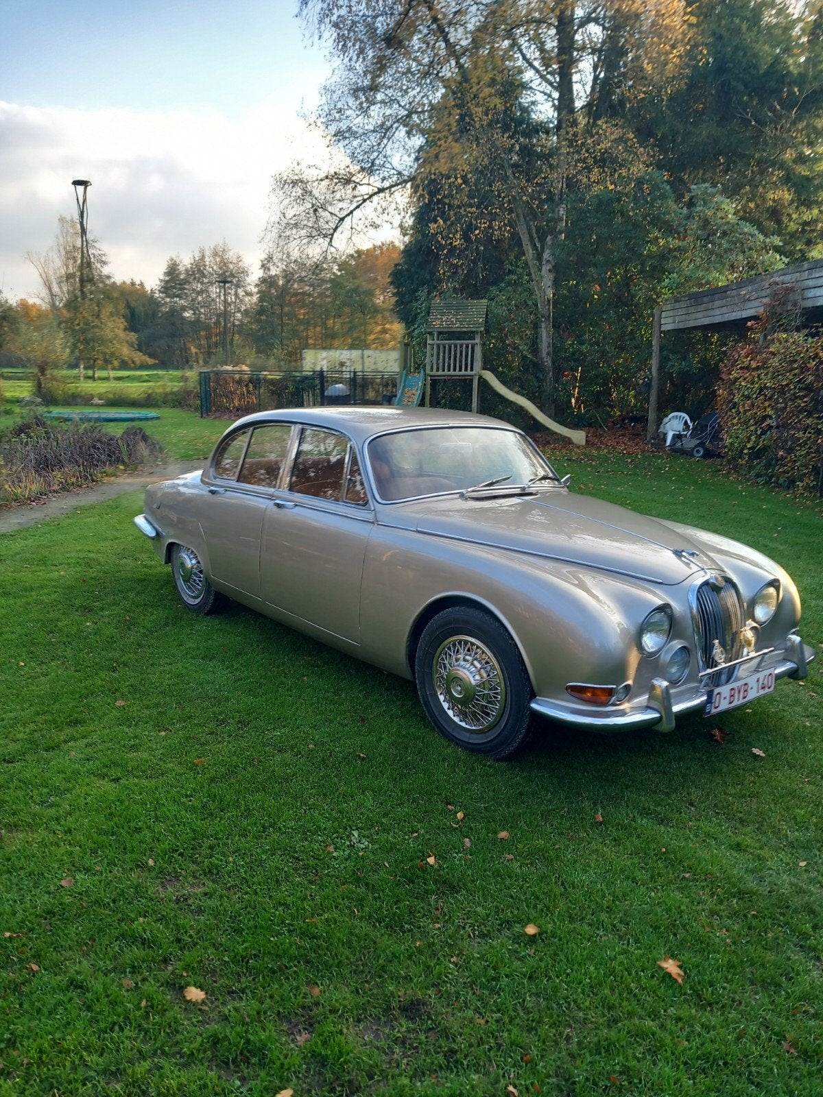 Jaguar Oldtimer, Autos, Particulier, Achat