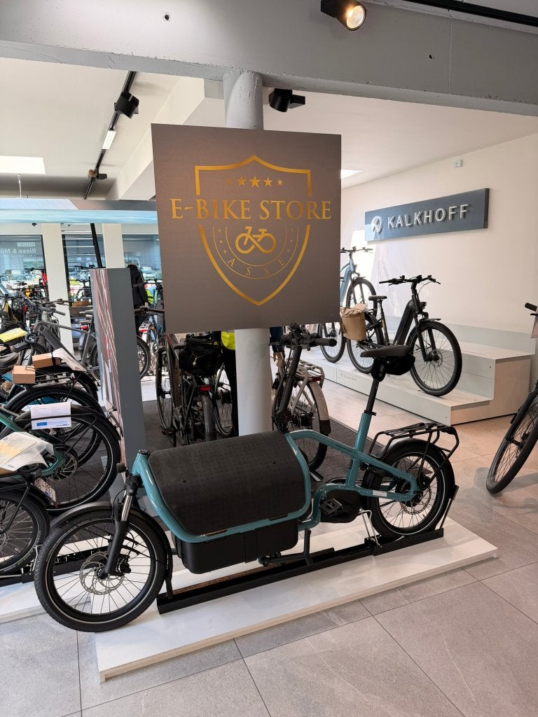 Riese & Müller Carrie2 Vario DEMOFIETS, Fietsen en Brommers, Info@ebikeasse.be, Nieuw, Riese & Müller, 2 kinderen