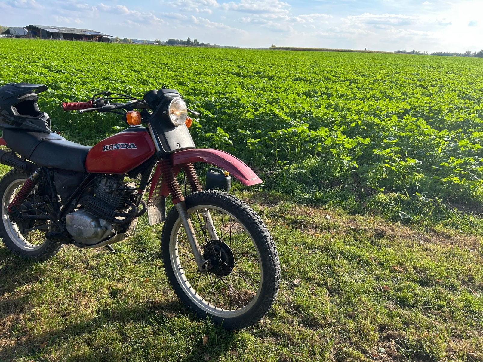 Honda l250s, Fietsen en Brommers, Ophalen, Gebruikt, 5 versnellingen, 250 cc