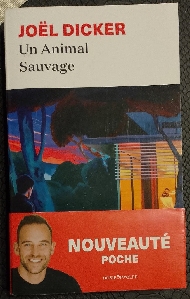 Joël Dicker :Lot de 4 livres, Livres, Enlèvement ou Envoi, Comme neuf, Joël Dicker.