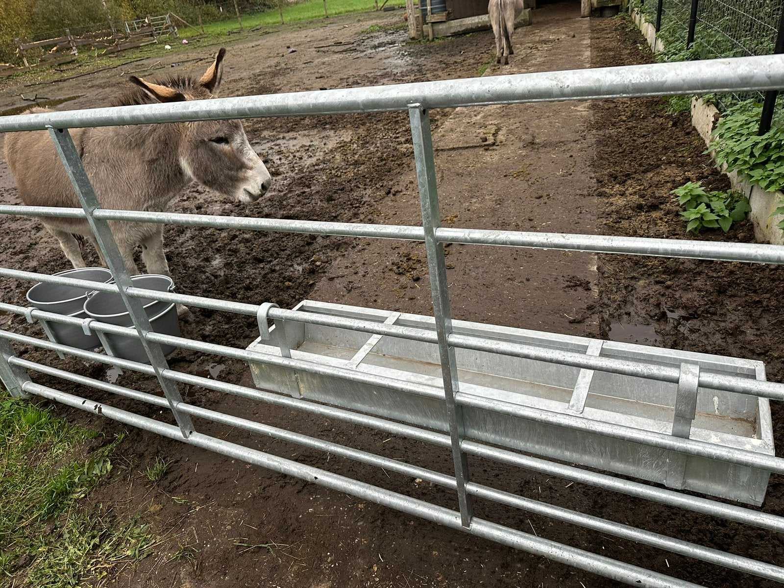 Weidepoorten, Dieren en Toebehoren, Stalling en Weidegang