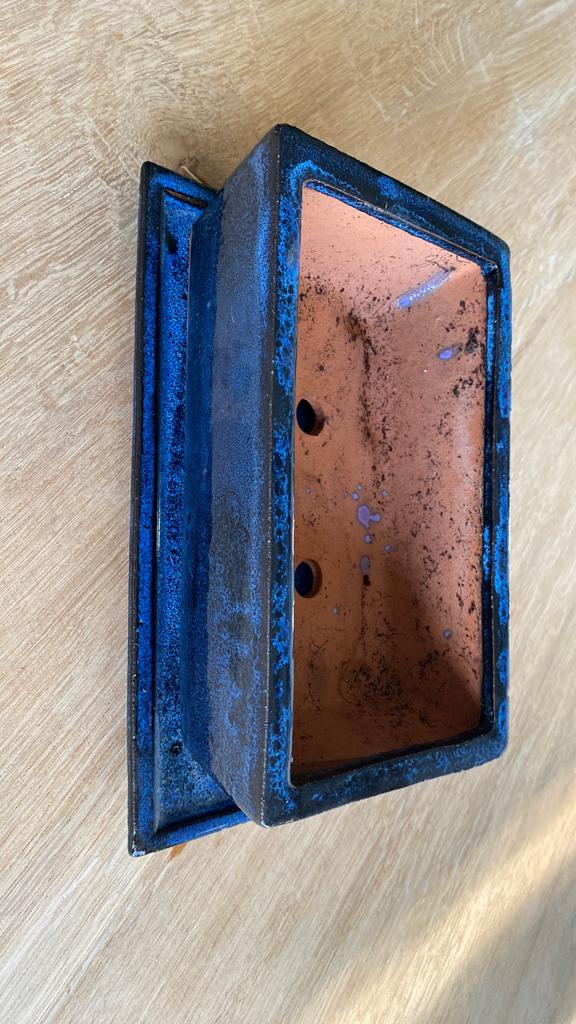 Bonsai pot, Tuin en Terras, Ophalen, Zo goed als nieuw