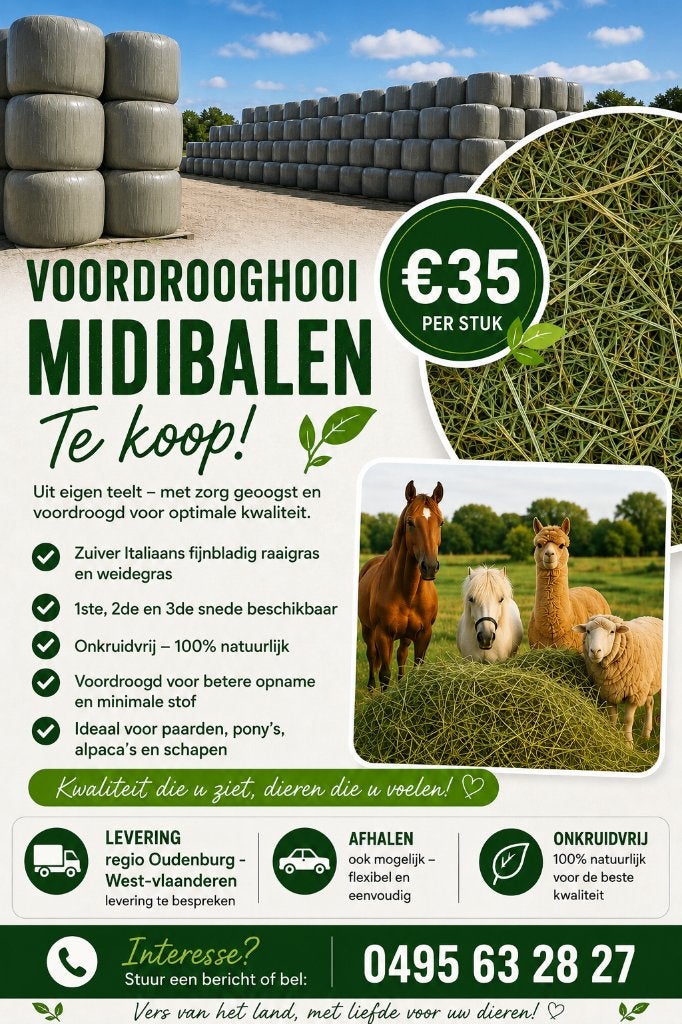 Midibalen voordroog hooi -premium kwaliteit!, Dieren en Toebehoren, Opfok, 4 paarden of pony's of meer