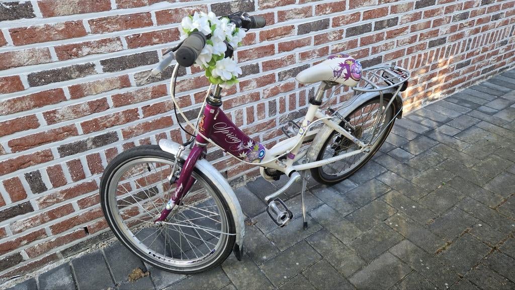 Meisjesfiets 20 inch, Ophalen