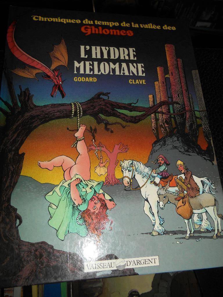 Chroniques du temps de la vallée des Ghlomes 2 eo, Livres, BD, Enlèvement ou Envoi