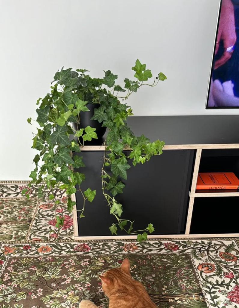 Meuble tv Tylko, Huis en Inrichting, Ophalen, 150 tot 200 cm, Zo goed als nieuw, Minder dan 100 cm
