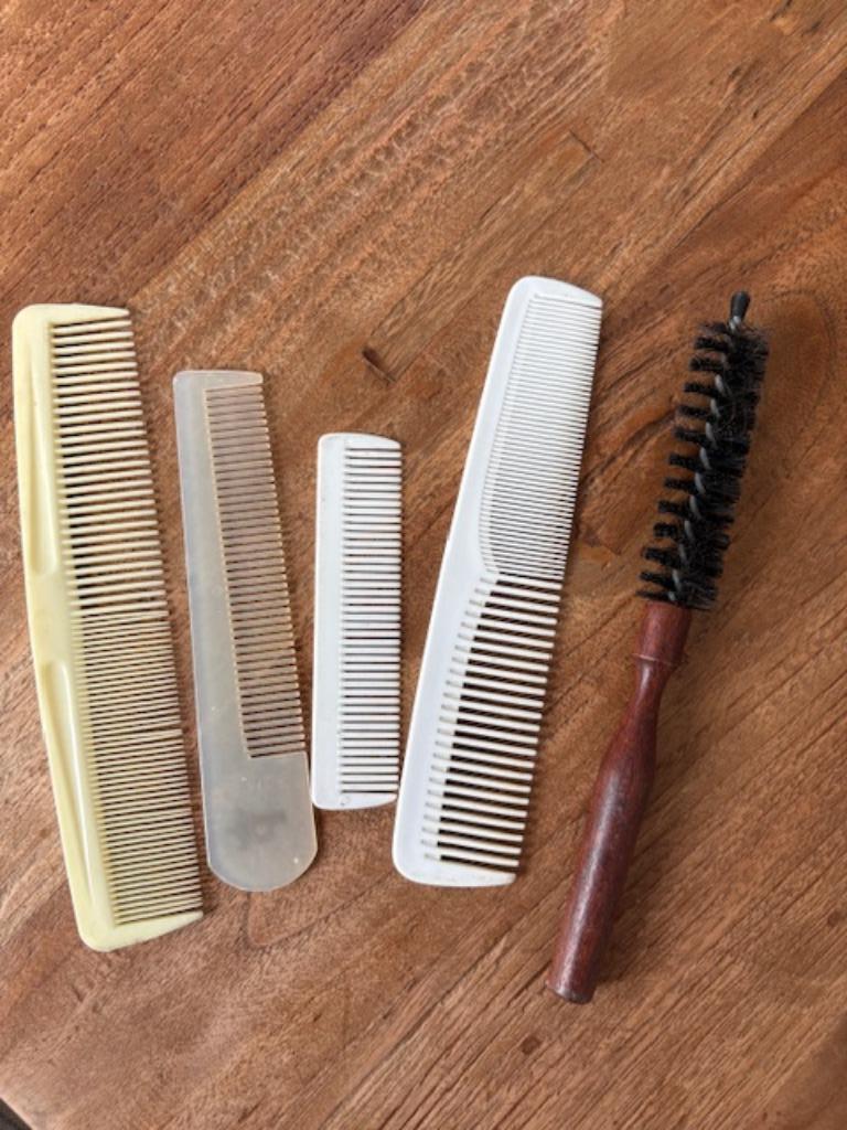 4 peignes et brosse, Bijoux, Sacs & Beauté, Beauté | Soins des cheveux, Enlèvement ou Envoi, Comme neuf, Peigne ou Brosse