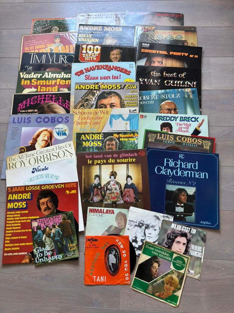 Platencollectie (+- 100 stuks), Cd's en Dvd's, Ophalen of Verzenden, Zo goed als nieuw