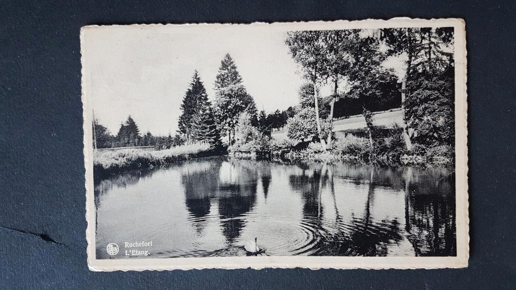 Carte postale Rochefort L'Etang Cygne, Enlèvement ou Envoi, 1940 à 1960, Affranchie, Namur
