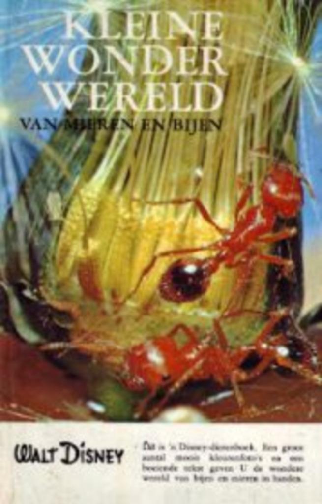 Kleine wonder wereld mieren & bijen|Walt Disney Dierenboeken, Ophalen of Verzenden, Zo goed als nieuw, Non-fictie
