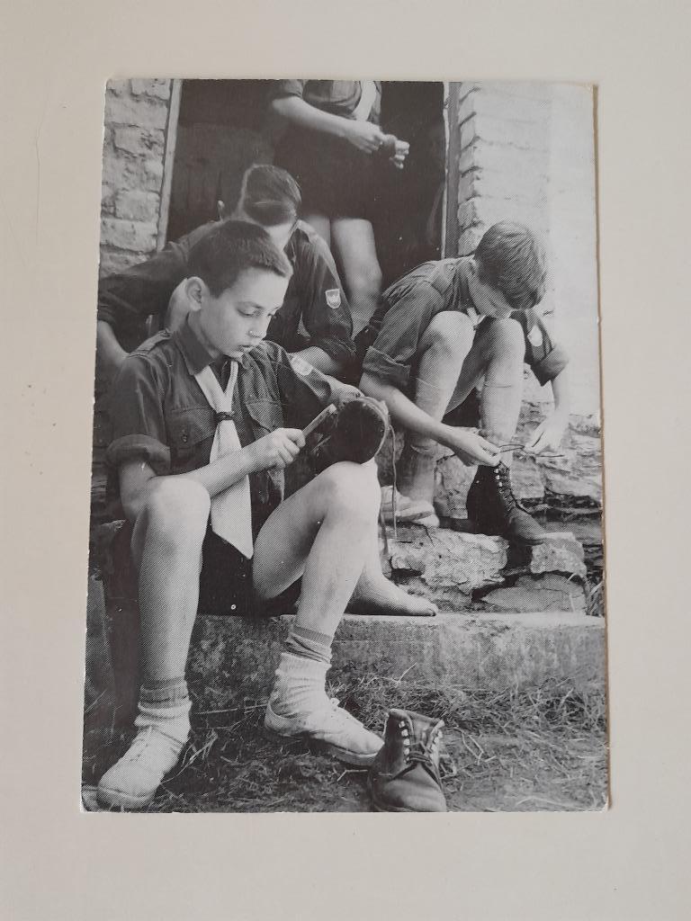 Postkaart - jonge scouts, Collections, Cartes postales | Thème, Affranchie, Enlèvement ou Envoi